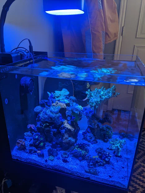 AI Prime HD Diffuser Shade - Chụp đèn thêm tấm diffuser cho AI Prime HD - Image 1