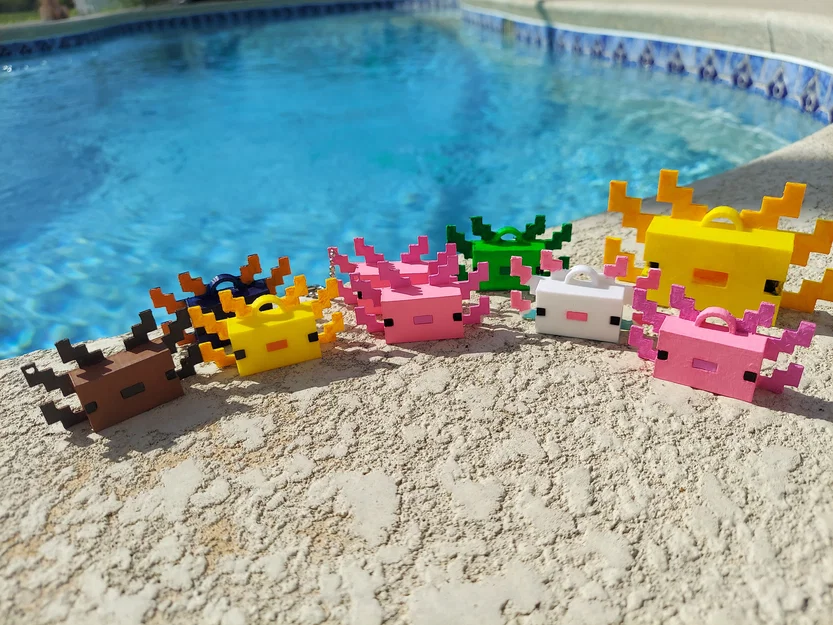 Móc khóa Axolotl Minecraft - Image 2