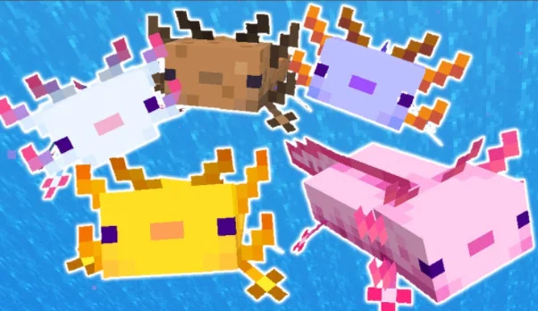 Móc khóa Axolotl Minecraft - Image 8