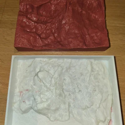 Form âm đá tỉ lệ HO để làm khuôn (HO Scale Rock Negative Form for Mould Making)