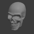 Mô hình hộp sọ 3D nhỏ gọn - File in STL chi tiết - Thumbnail 1