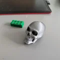 Mô hình hộp sọ 3D nhỏ gọn - File in STL chi tiết - Thumbnail 2