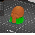 Mô hình hộp sọ 3D nhỏ gọn - File in STL chi tiết - Thumbnail 3