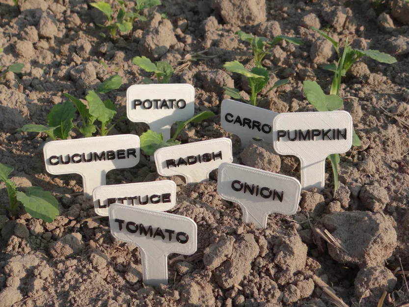 Bảng/Nhãn Rau Củ (Vegetables signs/labels) cho Vườn - Image 3