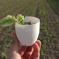 Dụng Cụ Làm Vườn Đơn Giản (Simple Garden Tools) - Thumbnail 6