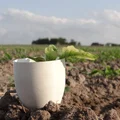 Dụng Cụ Làm Vườn Đơn Giản (Simple Garden Tools) - Thumbnail 9