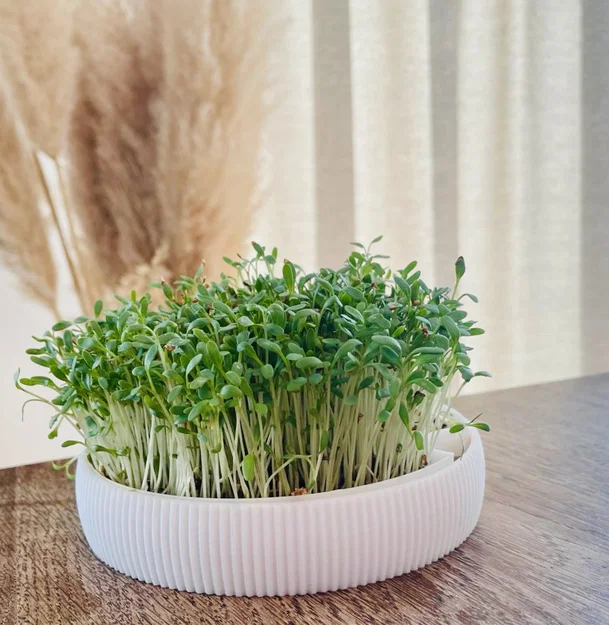 Anzuchtschale – Bộ khay ươm Microgreens tại nhà - Image 2
