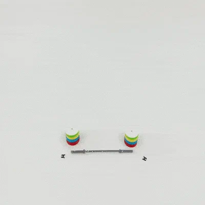 Bộ Bench Press, Squat Rack và Olympic Weight Set (in 3D)