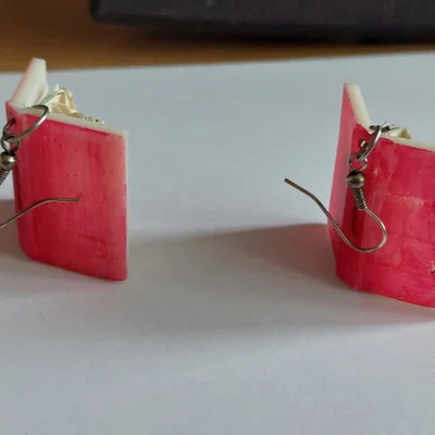 Bông tai hình quyển sách (Book Earrings)