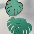 Lót Ly Monstera (Monstera Coasters) - Thumbnail 1