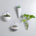 Planter 21 - Hang In There, Set (Bộ chậu treo tường dễ thương) - Thumbnail 1