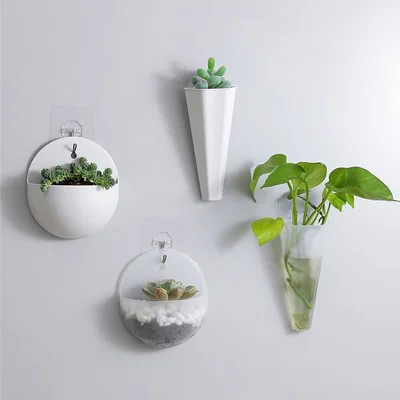 Planter 21 - Hang In There, Set (Bộ chậu treo tường dễ thương)