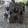 ParkerVanderm_317023
