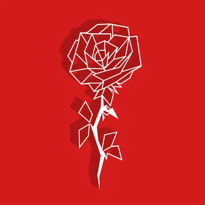 Bông Hồng Hình Học (Geometric Rose)