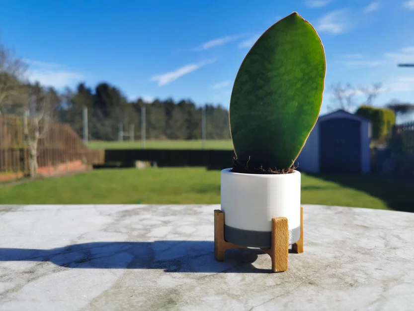 Chậu Sen Đá phong cách Mid Century - Nhỏ ⌀6cm - Image 1