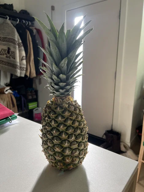 Mô hình quả dứa 3D (Pinapple) dùng trang trí cực xinh - Image 1