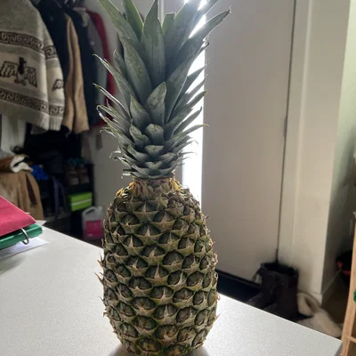 Mô hình quả dứa 3D (Pinapple) dùng trang trí cực xinh