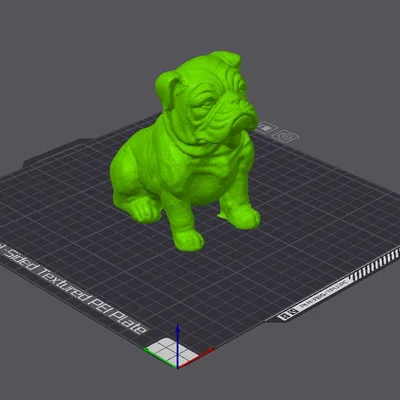 Chó French Bulldog Ngồi (Sitting French Bull Dog)