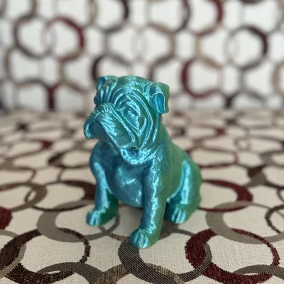 Chó French Bulldog Ngồi (Sitting French Bull Dog)