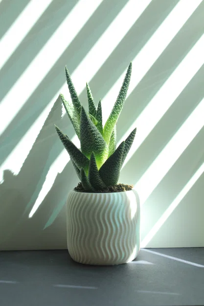 Chậu Sen Đá Xoắn Ốc (Spiral Succulent Planter) - Image 3