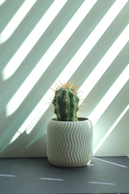 Chậu Sen Đá Xoắn Ốc (Spiral Succulent Planter) - Image 4