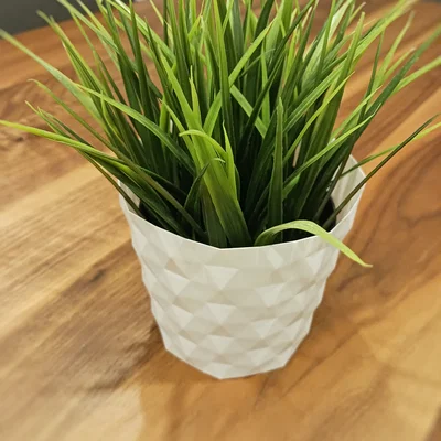 Chậu cây 3D Flowerpot Vase 01 họa tiết hình lục giác hiện đại