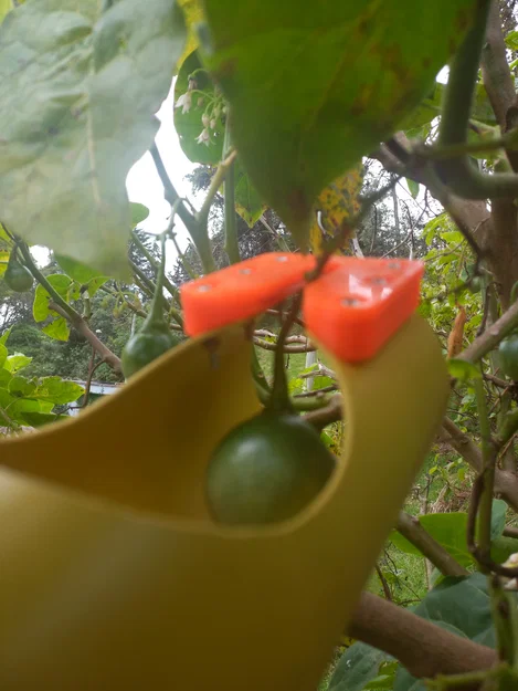 Dụng cụ hái trái cây Recolector de fruta (Fruit picker) - Image 1