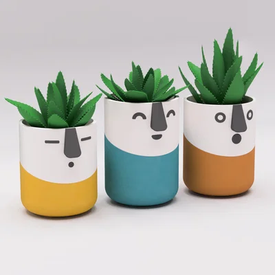 Bộ Sưu Tập Chậu Vui Vẻ (Happy Planter Collection)