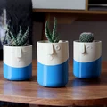 Bộ Sưu Tập Chậu Vui Vẻ (Happy Planter Collection) - Thumbnail 2