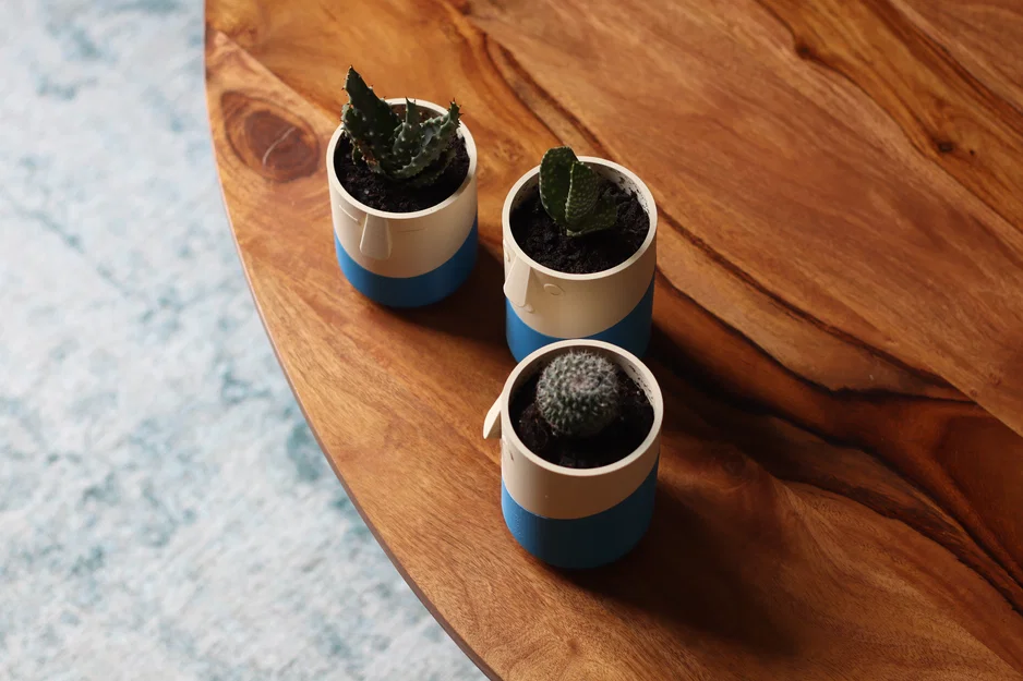 Bộ Sưu Tập Chậu Vui Vẻ (Happy Planter Collection) - Image 6