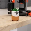 Bộ Sưu Tập Chậu Vui Vẻ (Happy Planter Collection) - Thumbnail 7