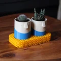 Bộ Sưu Tập Chậu Vui Vẻ (Happy Planter Collection) - Thumbnail 8