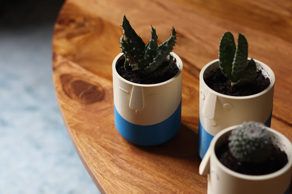 Bộ Sưu Tập Chậu Vui Vẻ (Happy Planter Collection) - Image 9