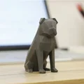Pug Low-Poly - Thumbnail 1
