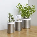 Campbell Planter - Chậu Tự Tưới In 3D Hoàn Toàn - Thumbnail 1