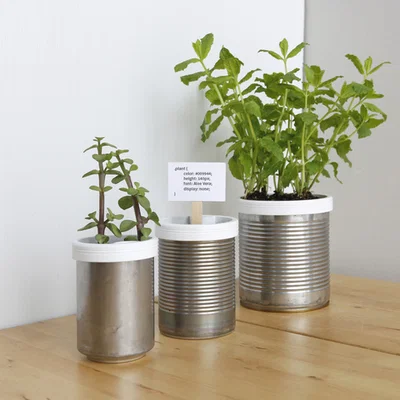Campbell Planter - Chậu Tự Tưới In 3D Hoàn Toàn