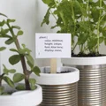 Campbell Planter - Chậu Tự Tưới In 3D Hoàn Toàn - Thumbnail 5