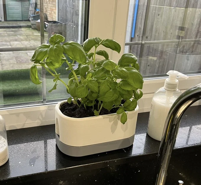 Chậu Cây Dáng Oblong (Oblong Plant Pot) - Image 1