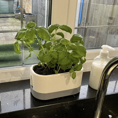 Chậu Cây Dáng Oblong (Oblong Plant Pot)