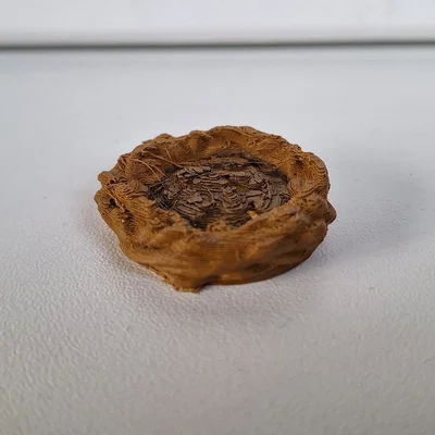 Mô hình tổ chim Gloomhaven Nest trang trí board game