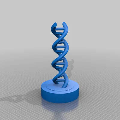 Mô hình cấu trúc ADN xoắn kép (Dna Model) in 3D để bàn