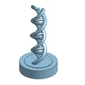 Mô hình cấu trúc ADN xoắn kép (Dna Model) in 3D để bàn - Thumbnail 2