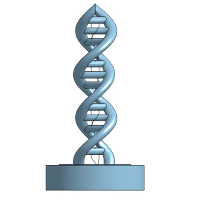 Mô hình cấu trúc ADN xoắn kép (Dna Model) in 3D để bàn