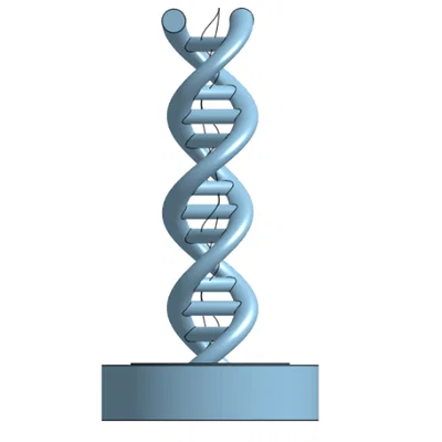 Mô hình cấu trúc ADN xoắn kép (Dna Model) in 3D để bàn