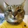 TommyLin_2985334