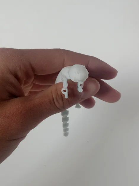 Rái cá khớp nối (Articulated Otter) - Image 4