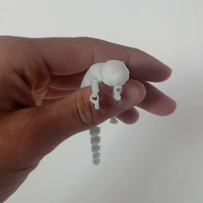 Rái cá khớp nối (Articulated Otter)