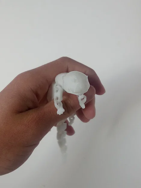 Rái cá khớp nối (Articulated Otter) - Image 6