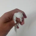 Rái cá khớp nối (Articulated Otter) - Thumbnail 6
