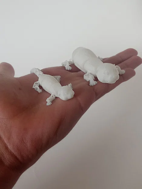 Rái cá khớp nối (Articulated Otter) - Image 8
